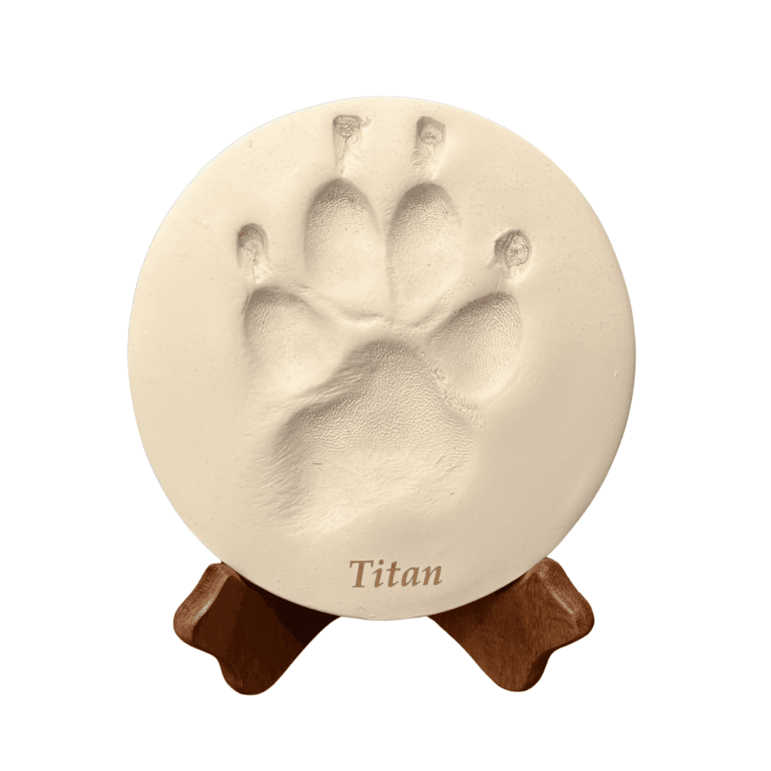 Handmade clay mold of pet's paw. One included in IND-URN-PAW and COM-PAW bundles.